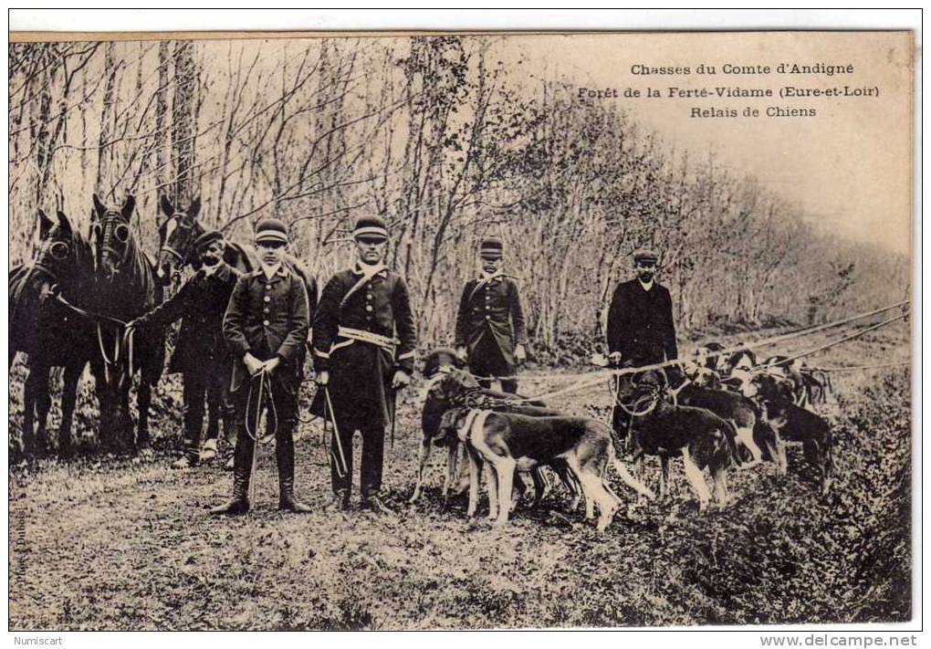 La Ferté Vidame....chasse à Courre Du Comte D Andigné...relais De Chiens Chasse Chasseurs Chasseur - Otros & Sin Clasificación