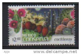 Protection Des Cactus  (Mexico Conserva) 1 T-p Neuf ** ( These Stamps Are Getting Scarcer Everyday) - Mexico