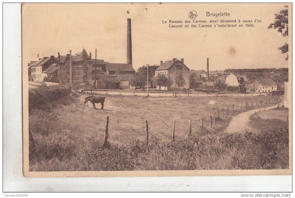 BR55934 Brugelette Le Rameau Des Carmes    2 Scans - Brugelette