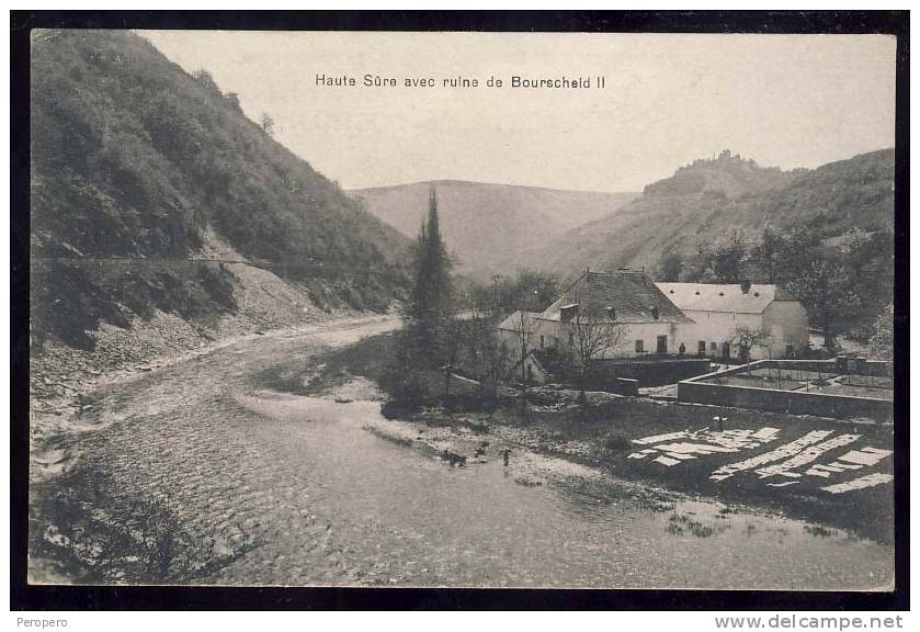 CPA     HAUTE SÜRE AVEC RUINE DE BOURSCHEID - Burscheid