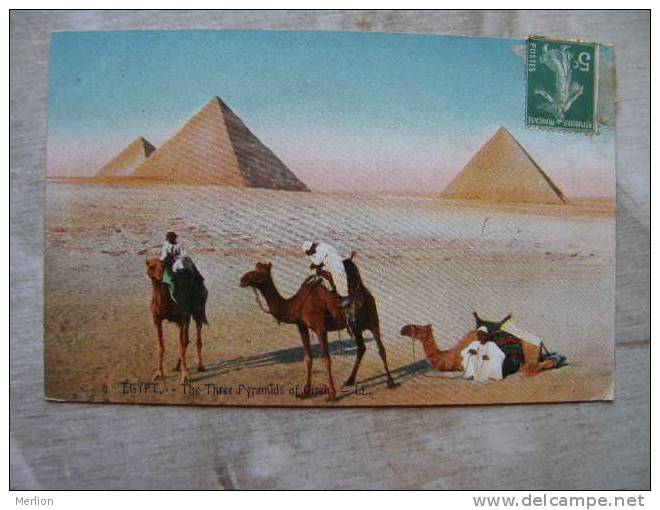 Egypt Egypte   The Pyramids Of Gizeh  - Camels Chameaux     D99983 - Gizeh
