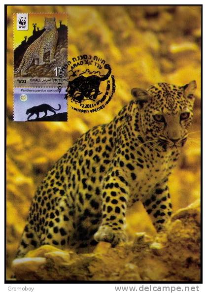 2011 Israel Leopard (Panthera Pardus Saxicolor) W. W. F. MC Maximum Card (1) - Maximumkaarten