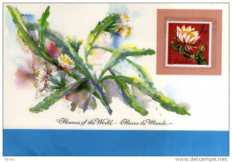 Carte 20,5x11,5 Cm Fleurs Du Monde Flowers Of The World,illustrateur, Printed In USA, Cereus Tonduzii - Andere & Zonder Classificatie