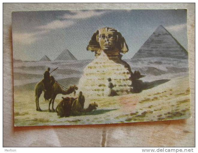 Egypt - Pyramids Sphinx - Chameaux Camel     D100100 - Pyramids
