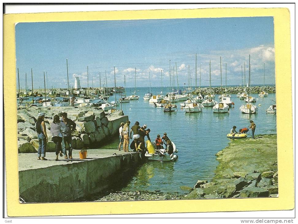 44  PIRIAC   LE  PORT - Piriac Sur Mer