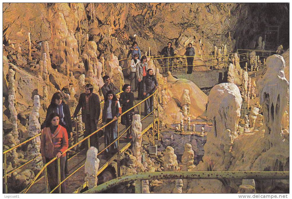 .BIHOR: CAVE BEARS FROM CHISCAU,POSTCARD COLLECTION, PERFECT SHAPE,ROMANIA. - Labor Unions