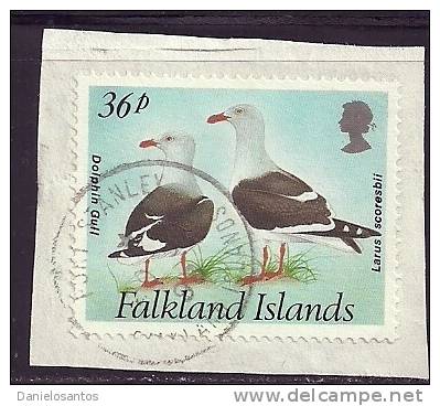 Falkland Is 1993 Birds Aves Oiseaux Vegels - Dolphin Gull - Larus Scoresbii Canc - Seagulls