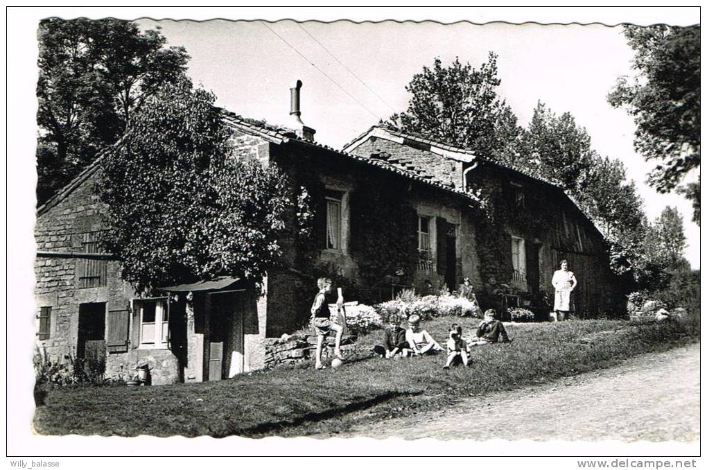 Postkaart / Carte Postale "Torgny - Rue De L'Ermitage - Carte Vues" - Rouvroy