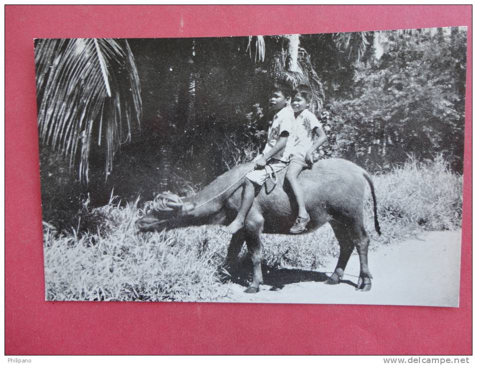 Guam  2 Young Boys On A Carabao------ ----- Ref 849 - Guam