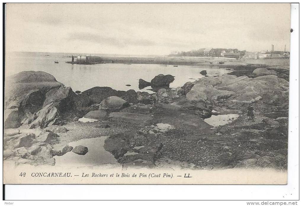 CONCARNEAU - Les Rochers Et Le Bois De Pin - Concarneau