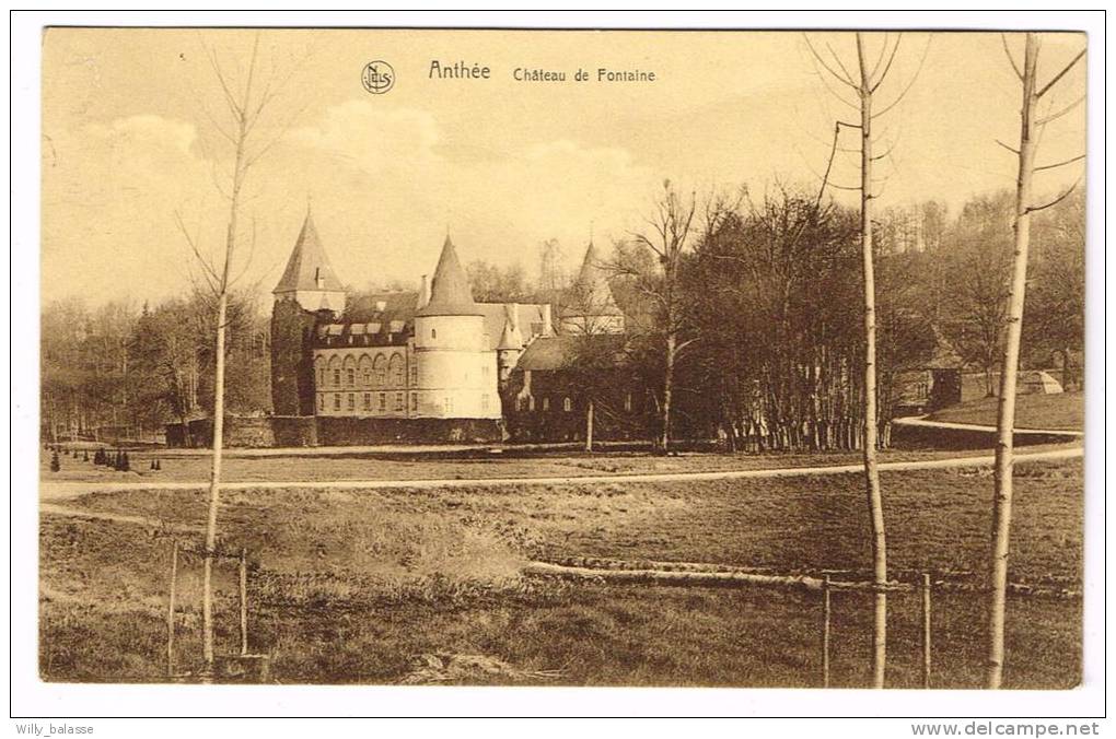 Postkaart / Carte Postale "Anthée - Château De Fontaine" - Onhaye