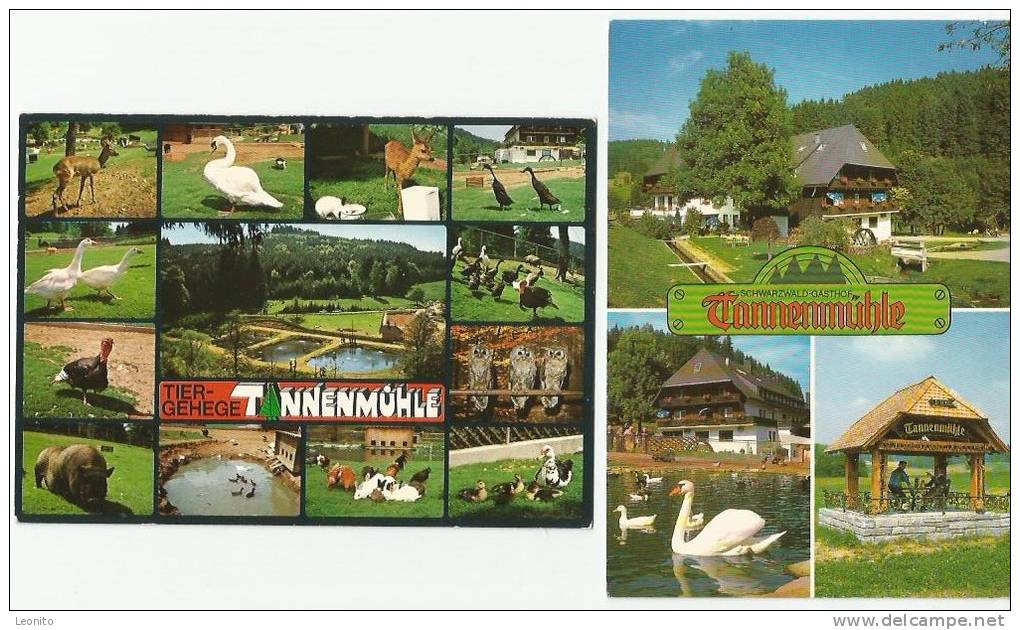 TANNENMÜHLE Grafenhausen Waldshut Tiergehege 2 Ansichtskarten - Waldshut-Tiengen