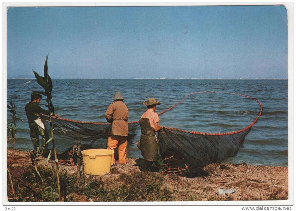 CP MARIGNANE, PECHE SUR L'ETANG, BOUCHES DU RHONE 13 - Marignane