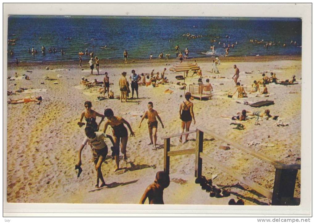 ANGOLA, N.Y. - Lake Erie Beach And Lake Camp Pioneer -unjused About 1960 - Other & Unclassified