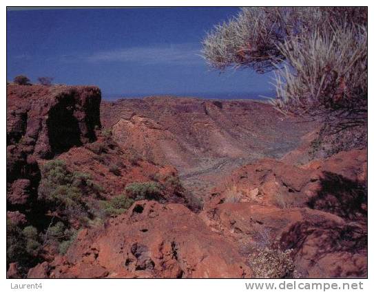 (345)  Australia - WA - Charles Knife Canyon - Sonstige & Ohne Zuordnung