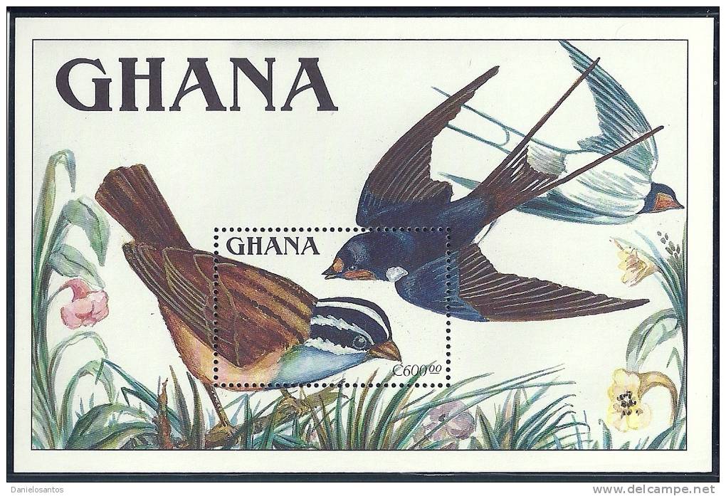 Ghana 1989 Birds  Aves Oiseaux Vegels - Buntings, New World Sparrows &amp; Allies -  Cinnamon Breasted Bunting Sheet MNH - Zwaluwen