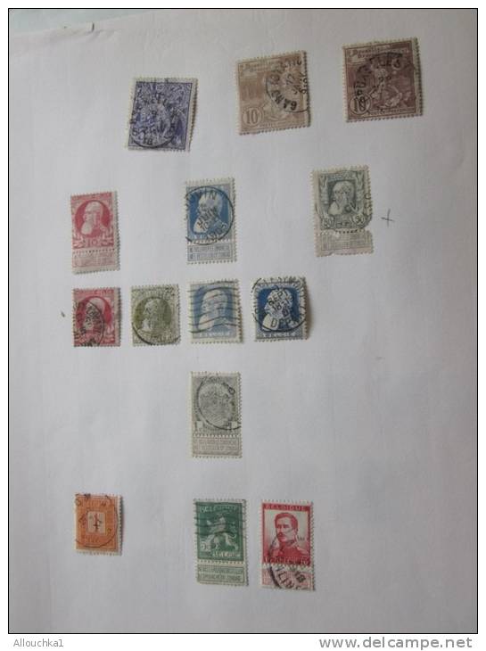 Belgique Belgia Timbres Anciens Oblitérés Tous états Sur Feuilles D'album Collection Cote Partielle : 506 &euro;(2001) - Collections (en Albums)