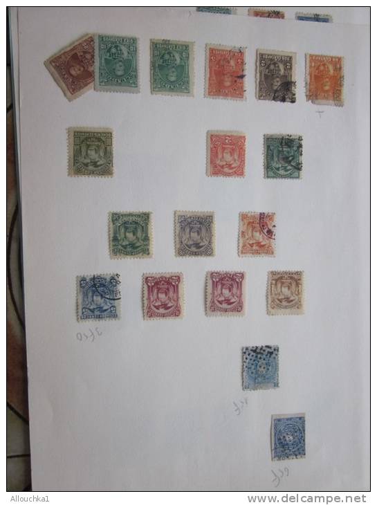 Amérique latine,Argentina, Bolivie,Colombie,Cuba,Dominique,Equateur:Timbres oblitérés S Feuille Album Collection C/576 €