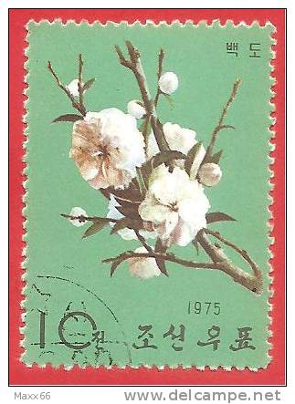 CINA - CHINA - R.P.P.  - USATO - 1975 - FIORI - FLOWERS - VERDE 10 - Gebruikt