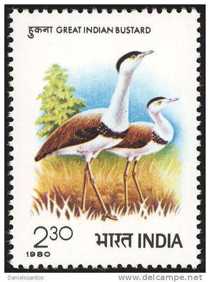 India 1980 Birds Aves Oiseaux Vegels - Intl Symposium On Bustards - Indian Bustard- Ardeotis Nigriceps MNH - Picotenazas & Aves Zancudas