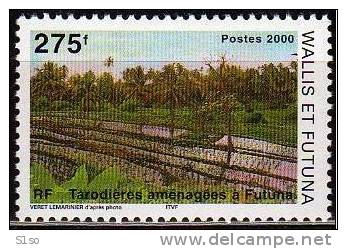 WALLIS Et FUTUNA 2000 -- Poste Yvert N° 540 -- Neuf  Sans Charnière -- Tarodieres Aménagées -- Côte 7,00 €uros - Unused Stamps