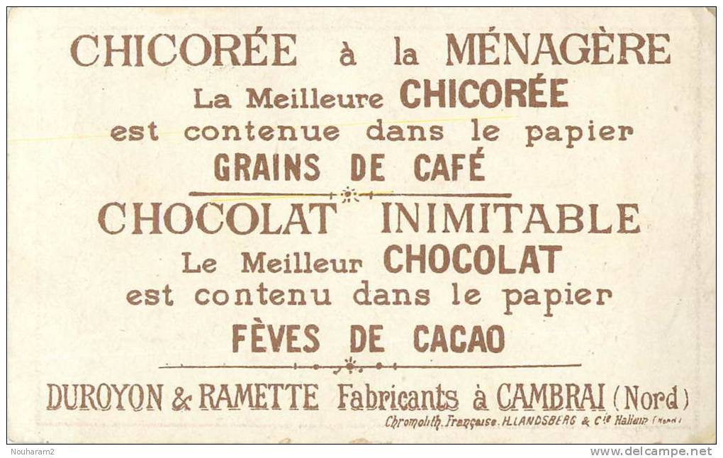 Chromos Réf. A117. Chocolat Duroyon & Ramette - Cambrai - Petite Fille, Fleurs - Duroyon & Ramette