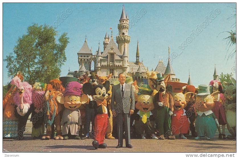 DISNEYLAND Walt Disney Mickey Mouse . Vintage Old Photo Postcard - Disneyland