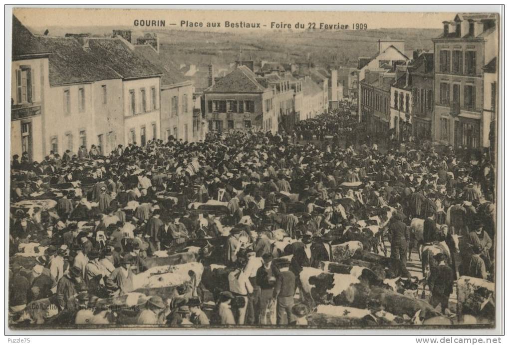 56 - GOURIN - PLACE AUX BESTIAUX - FOIRE DU 22 FEVRIER 1909 - Gourin