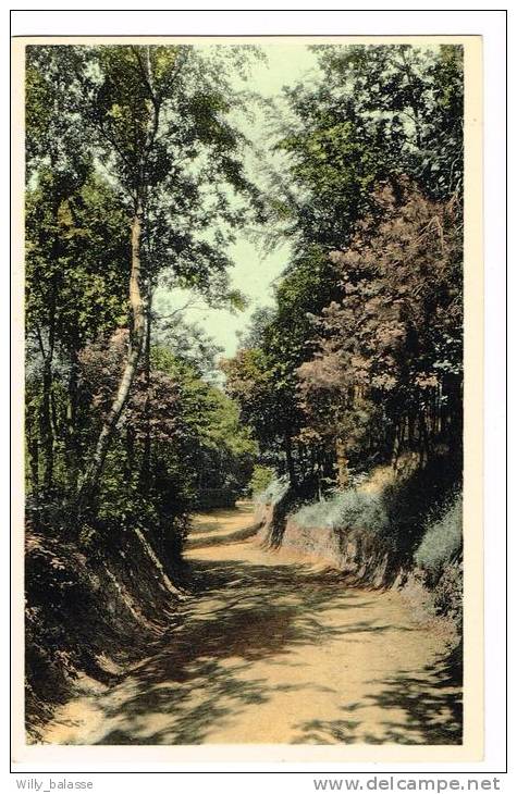 Postkaart / Carte Postale "Mont-de-l'enclus / Orroir / Kluisberg - Chemin De La Tour / Torenweg" - Kluisbergen