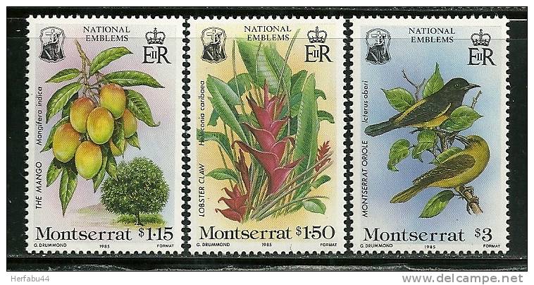 Montserrat     " Flora & Fauna- National Emblems "   Set    SC# 551-53  MNH** - Montserrat