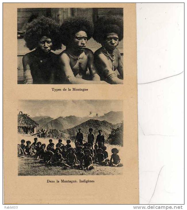 S1    -   400     -      PAPOUASIE  -   ( Nouvelle - Guinée )    -    Types  Indigènes  De  La  Montagne  . - Papua-Neuguinea