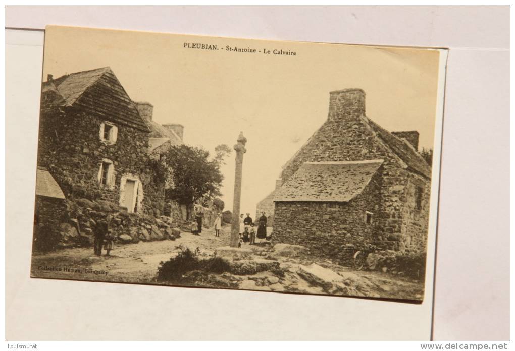 22 - Pleubian - St-Antoine - Le Calvaire - Pleubian