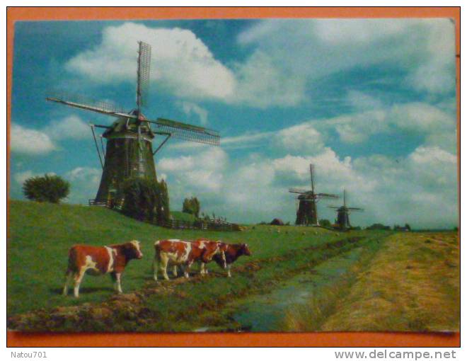 V1--pays Bas--leidschendam--moulins-vaches--beau Timbre - Leidschendam