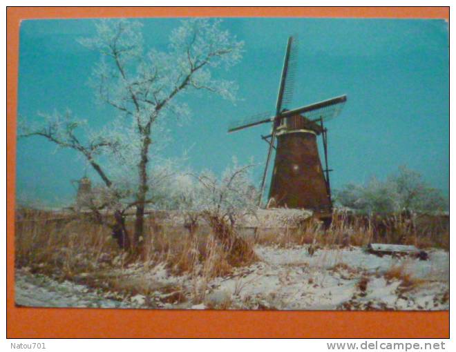 V1--pays Bas-kinderdijk-moulin--neige-- - Kinderdijk