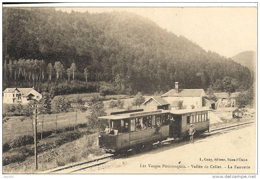 88 _  Vosges _   Vallée De Celles _ La Fauvette (les Vosges Pittoresques - Autres & Non Classés