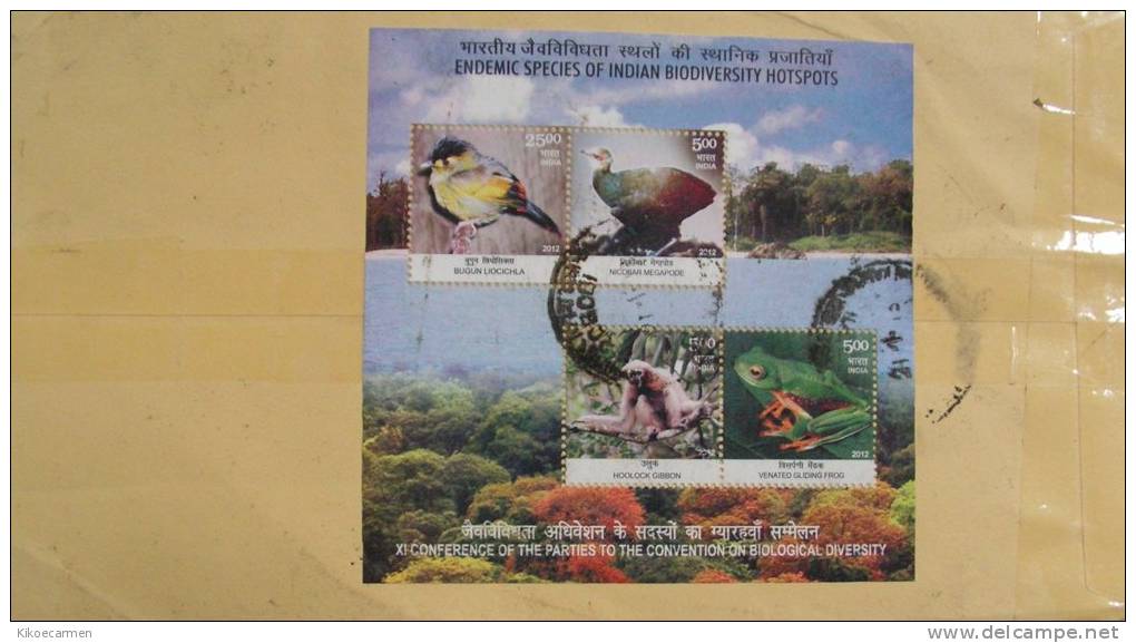 2scans INDIA 2012 Registered Letter FAUNA Biodiversity Animal Monkey Bird Frog MINI SHEET Block MS BF Complete Cover - Covers & Documents