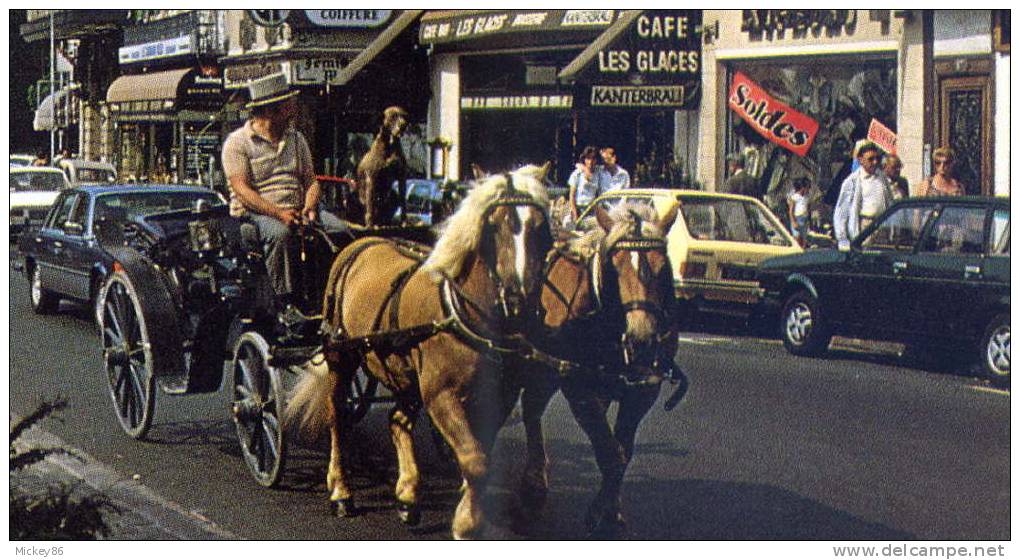 FONTAINEBLEAU-Fontaine,Ru E Grande (très Animée,bel Attelage,banque BRED,voitures Dont Citroen 2CV,pub Bière KANTERBRAU) - Fontainebleau