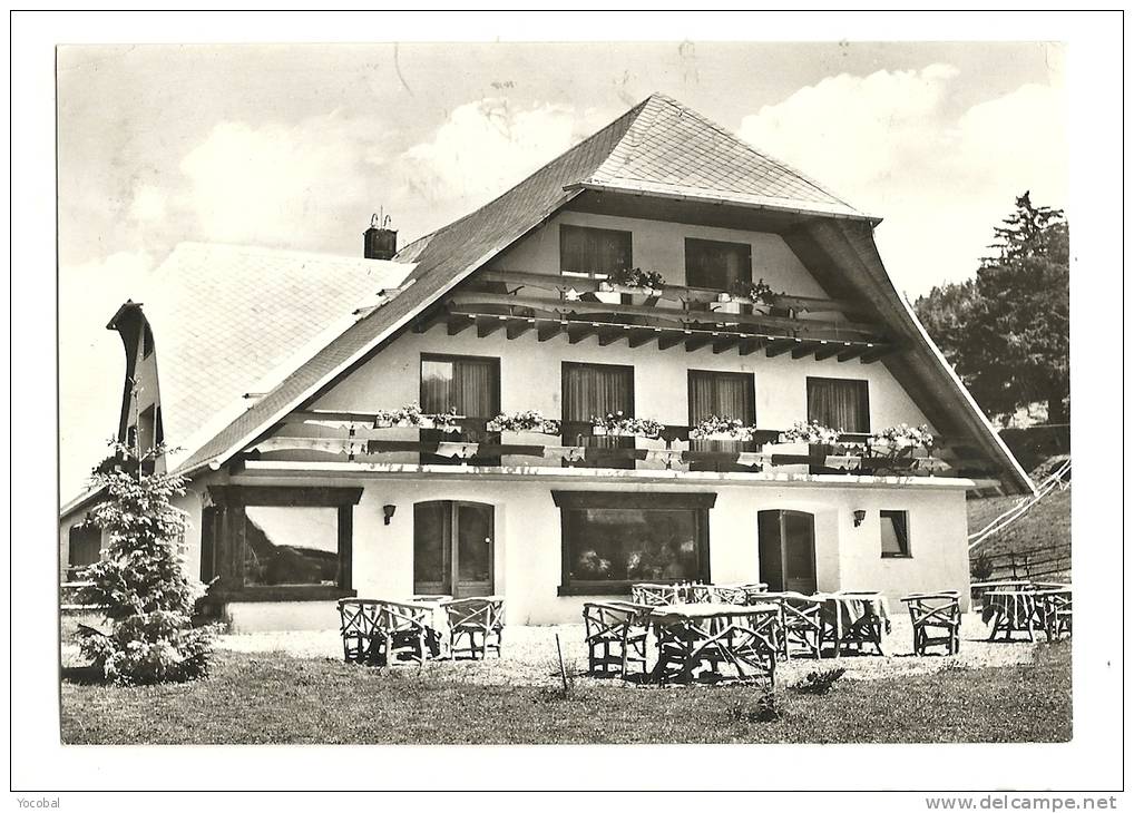 Cp, Commerce, Berghotel Ponyhof (Allemagne), Voyagée 1966 - Ristoranti
