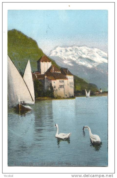 Cp, Animaux, Cygne, Chillon (Suisse), Et La Dent Du Midi - Vogels