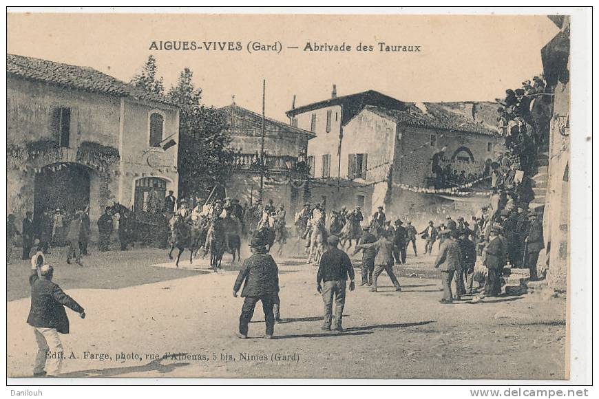 30 // AIGUES VIVES   Abrivade Des Tauraux    Edit Farge   ANIMEE - Aigues-Vives