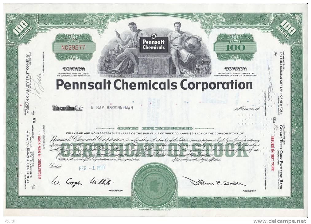 Bonds/Shares:1960 Pennsalt Chemicals Corporation, Value: Shares 100 (A 330a) - Industrie
