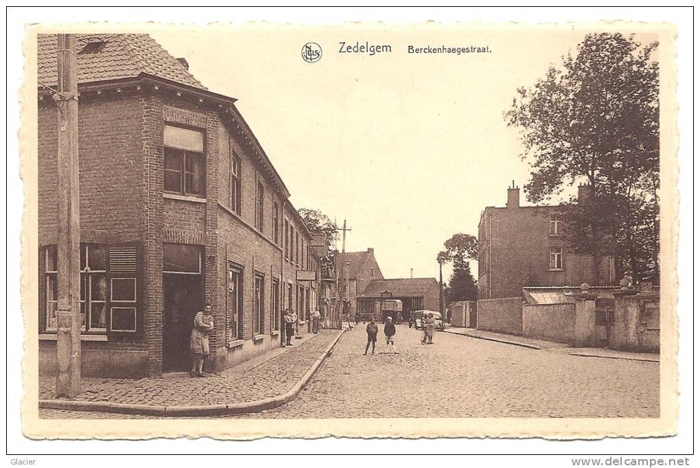 ZEDELGEM - Berckenhaegestraat - Uitg. Miny - Zedelgem