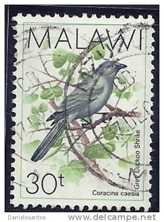 Malawi 1988 Birds Aves Oiseaux Vegels - Cuckooshrikes - Grey Cuckoo-shrike - Coracina Caesia Canc - Coucous, Touracos