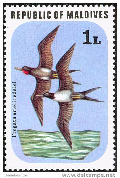 Maldives Is 1977 Birds Aves Oiseaux Vegels - Lesser Frigatebird - Fregata Ariel MLH - Albatrosse & Sturmvögel