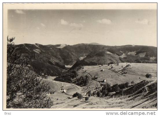 CPSM Feldberg Foret Noire - Feldberg