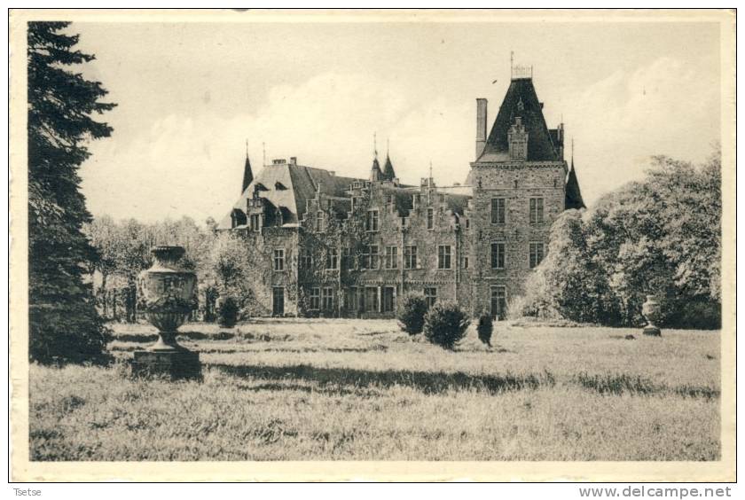 Ham-sur-Heure - Le Château -1960  ( Voir Verso ) - Ham-sur-Heure-Nalinnes