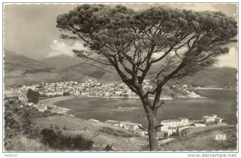 66/CPSM - Banyuls Sur Mer - Vue Générale Sur La Ville - Banyuls Sur Mer