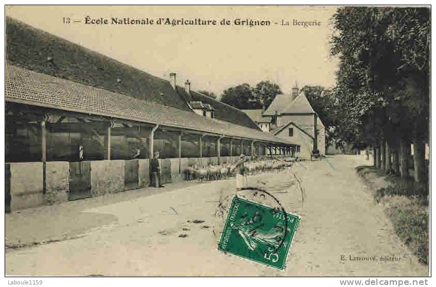 GRIGNON : " Ecole Nationale D' Agriculture - La Bergerie " - Troupeau De Moutons Et Berger - Grignon