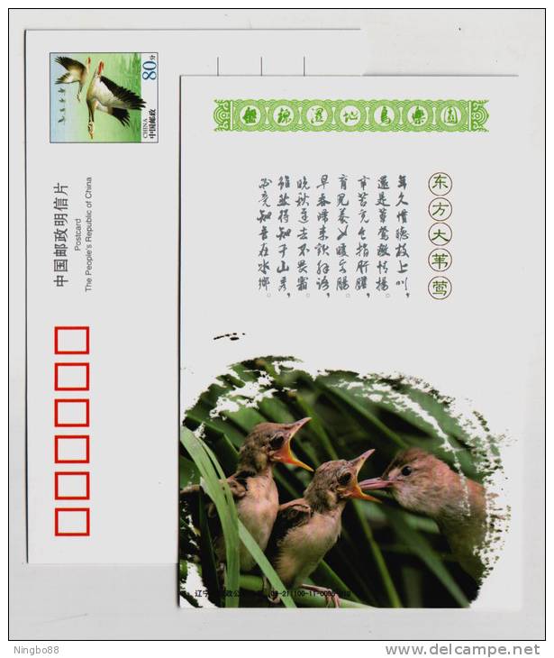 Oriental Great Reed Warbler,China 2009 Panjin Wetland Bird Paradise Small Size Pre-stamped Card - Sperlingsvögel & Singvögel