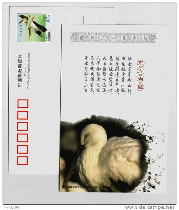 Oriental White Stork,China 2009 Panjin Wetland Bird Paradise Small Size Pre-stamped Card - Cigognes & échassiers